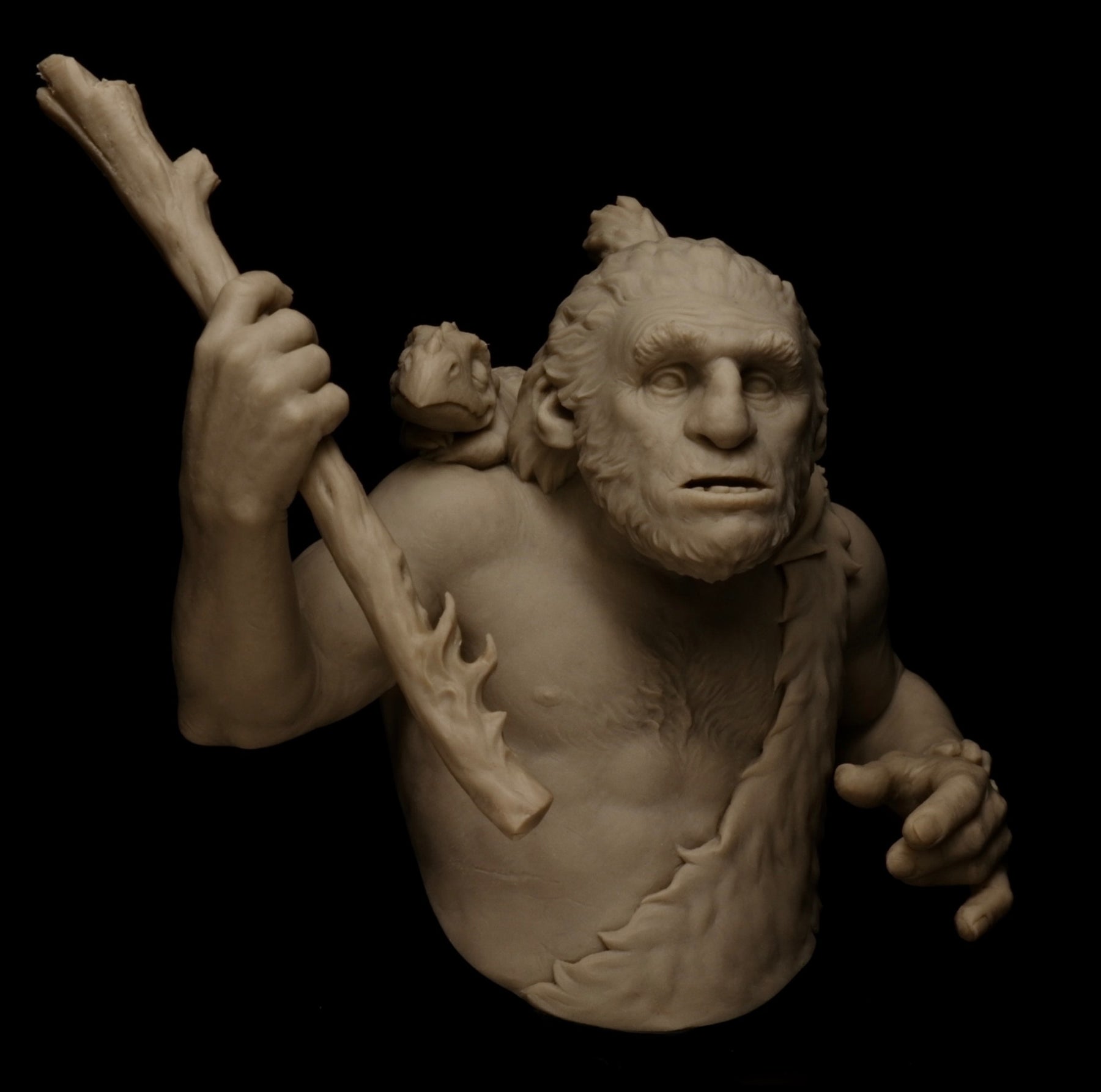 Troglodyte