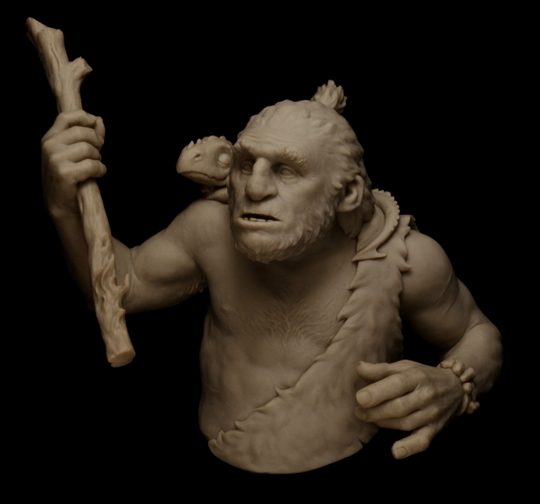 Troglodyte