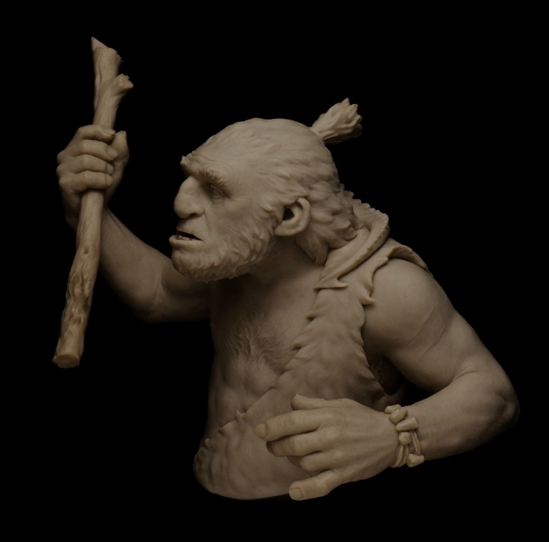 Troglodyte