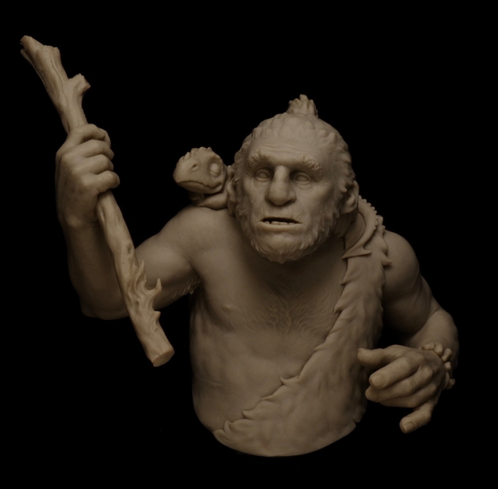 Troglodyte