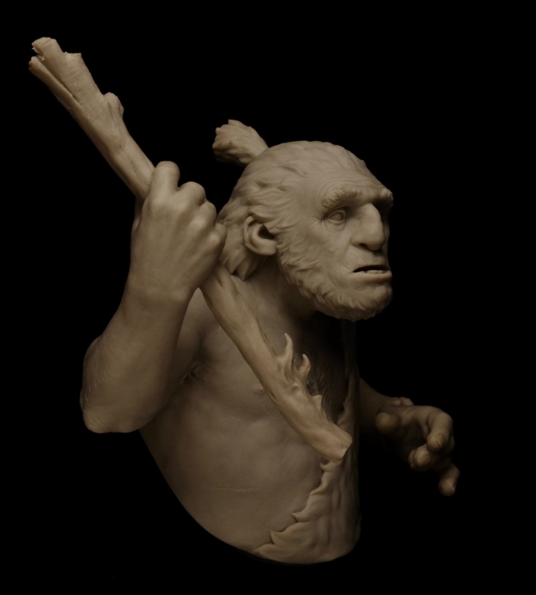 Troglodyte
