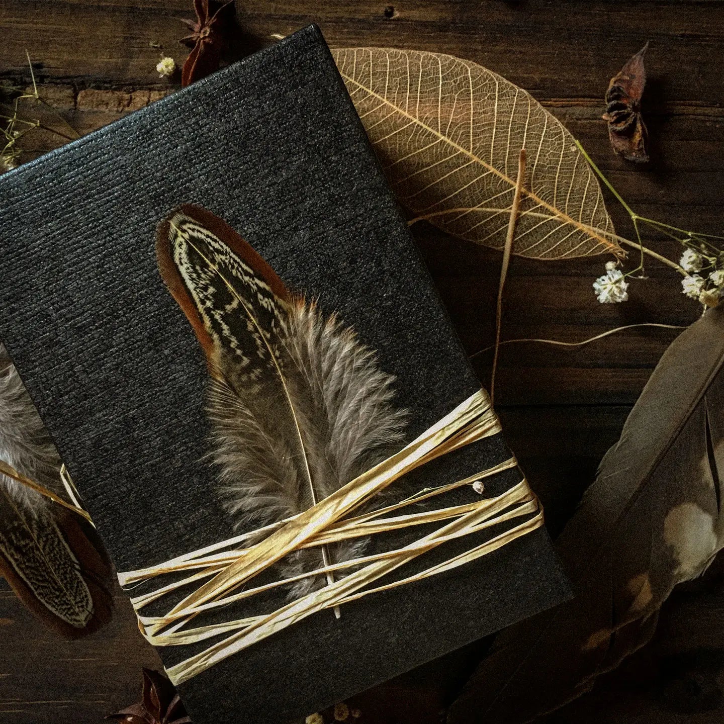 A black Spiramirabilis box bound with raffia and a feather on dark wood