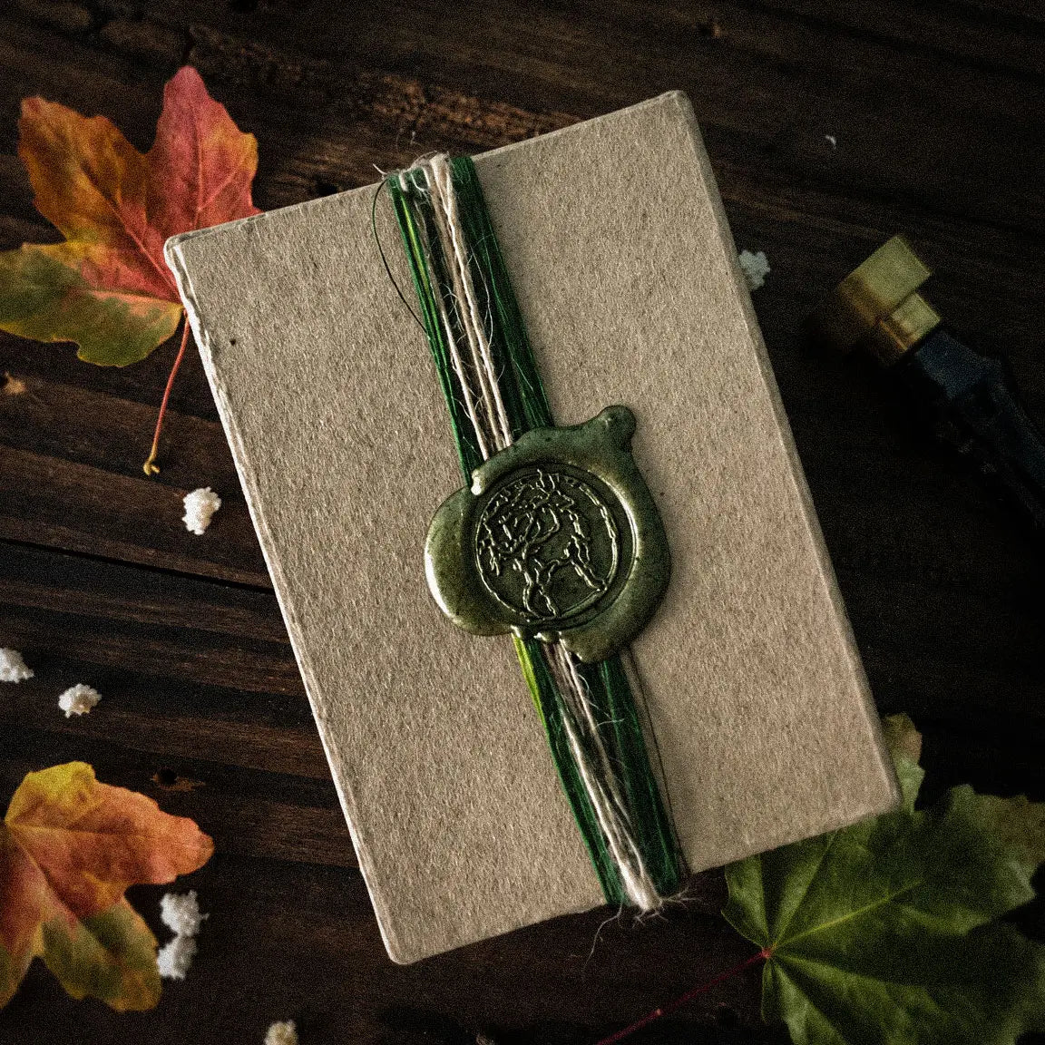 A kraft Spiramirabilis box sealed with green ribbon and wax among autumn leaves